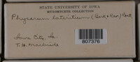 Image Associated With the Occurence